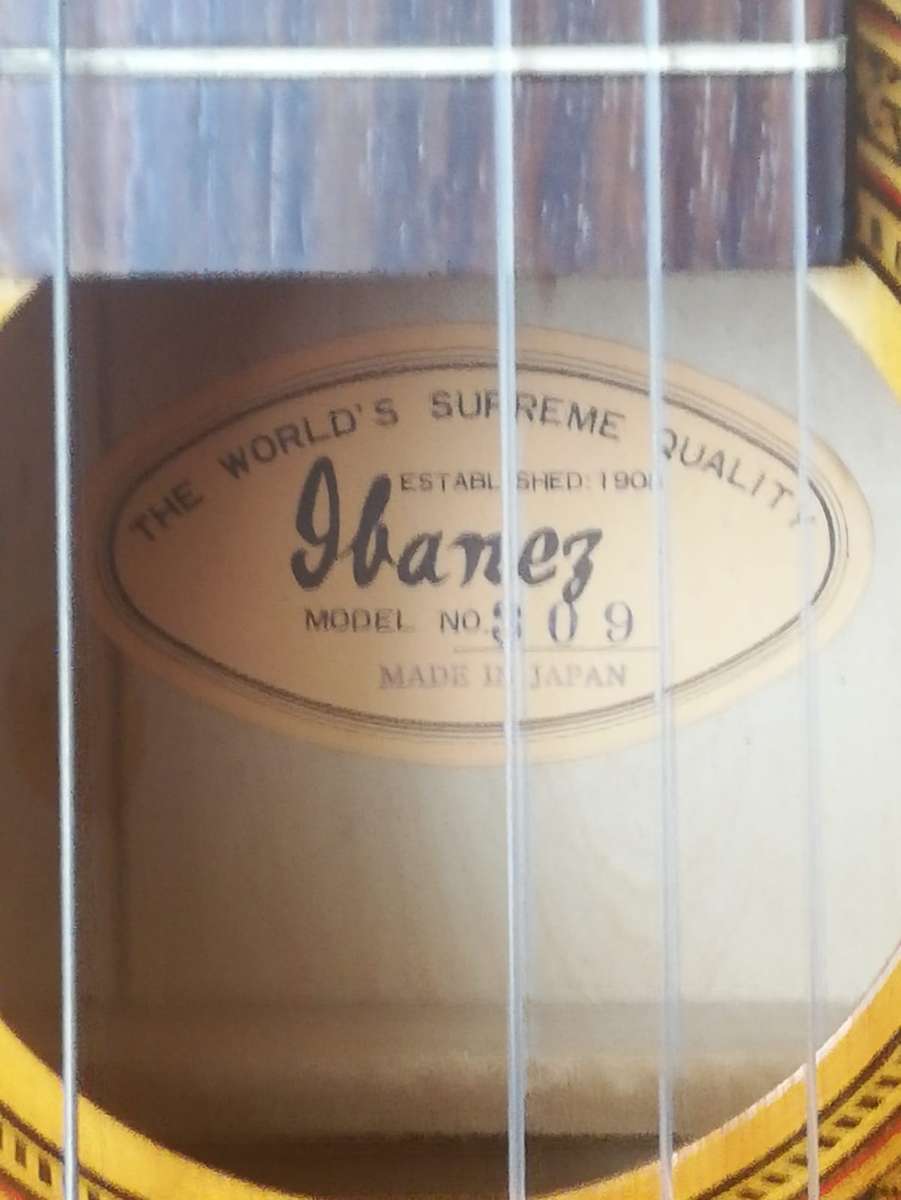 Ibanez Classical Guitar
