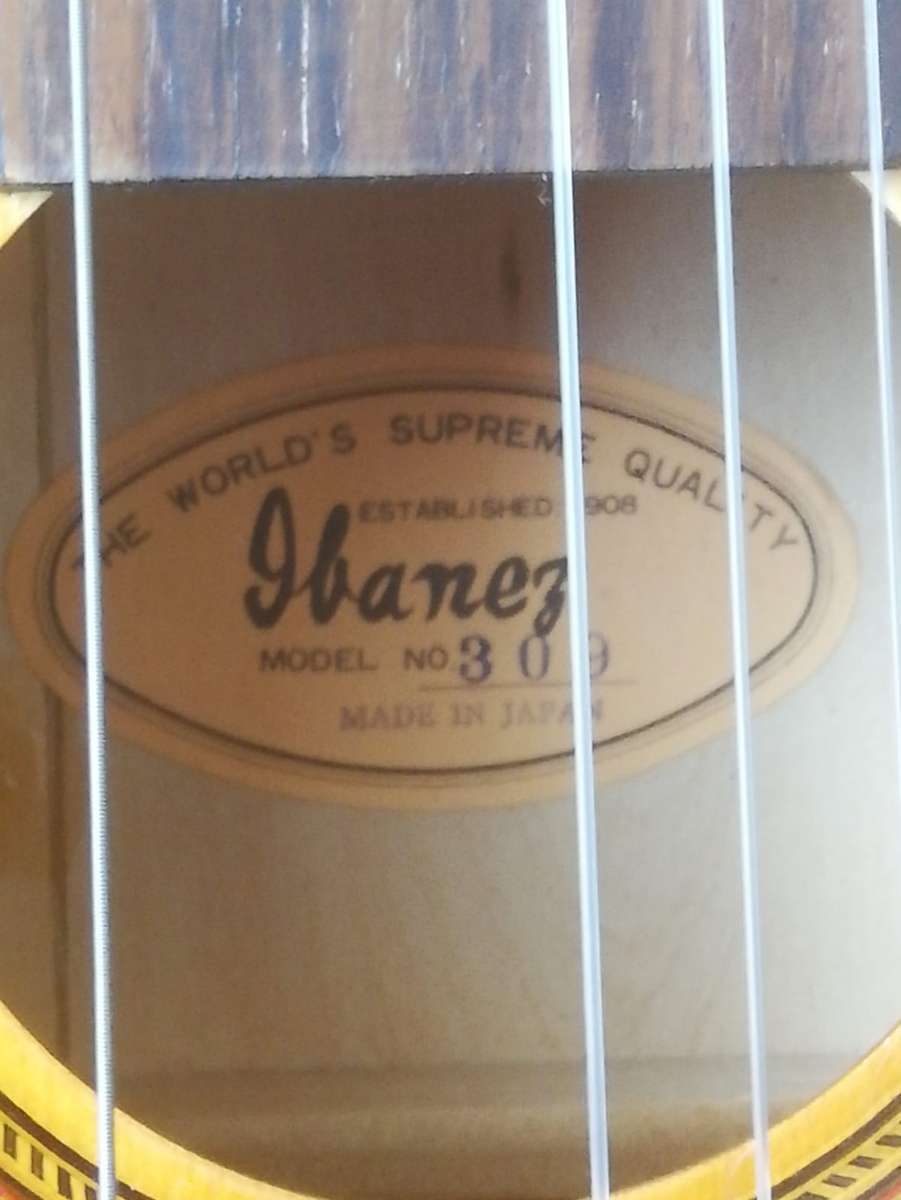 Ibanez Classical Guitar
