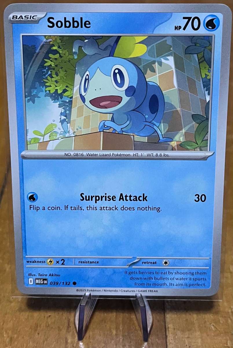Pokémon Mega Evolution Base Bulk (x19)