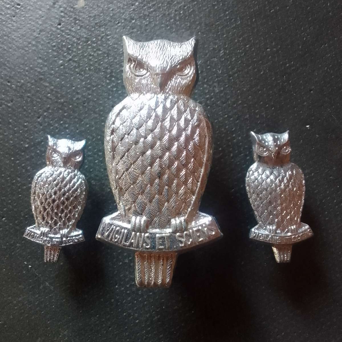 Military Intelligence Corps Cap and Collar badges