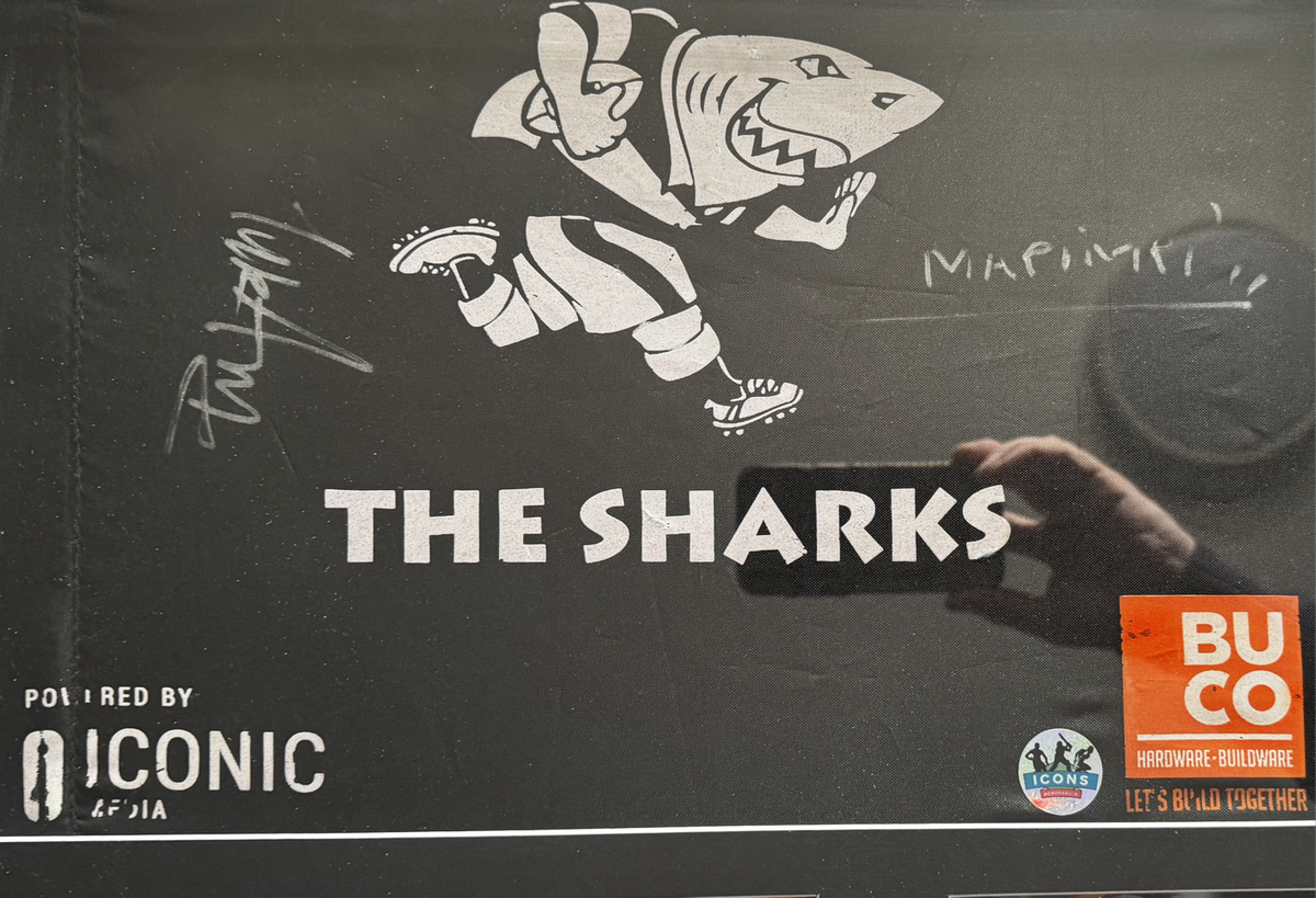 Rugby Frame Signed Mapimpi and Am  Match Corner  Flag