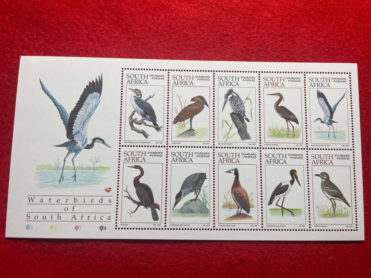 World Environment Day. Waterbirds of SA UMM M/S