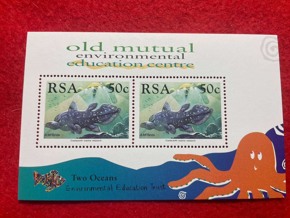 Old Mutual Environmental Education Centre Two Oceans UMM M/S