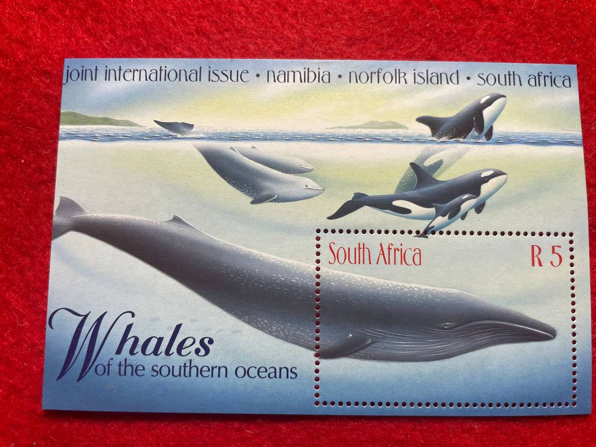 Whales of the Southern Ocean UMM M/S