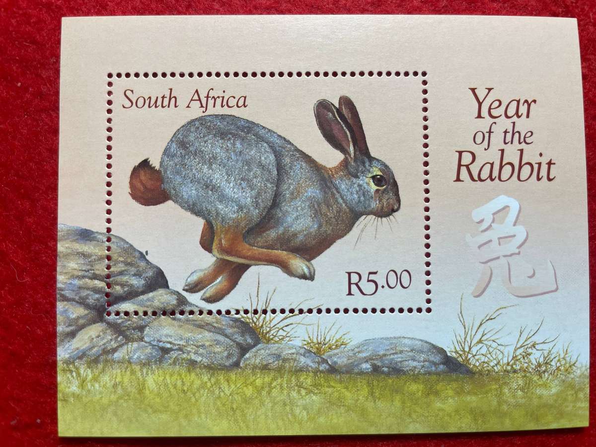 Year of the Rabbit UMM M/S
