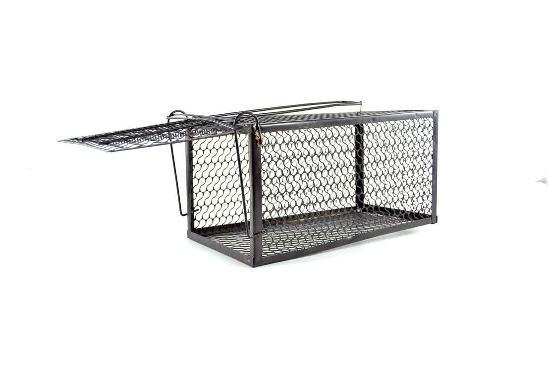 RAT and MOUSE CAGE TRAP