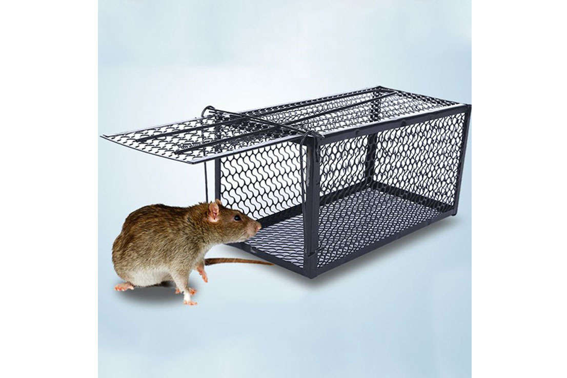 RAT and MOUSE CAGE TRAP