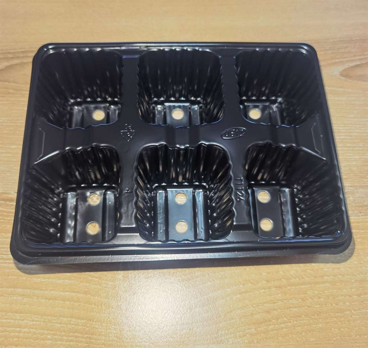 Seedling Tray 6 Cell (each)