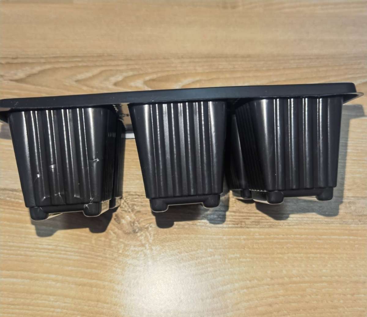 Seedling Tray 6 Cell (each)