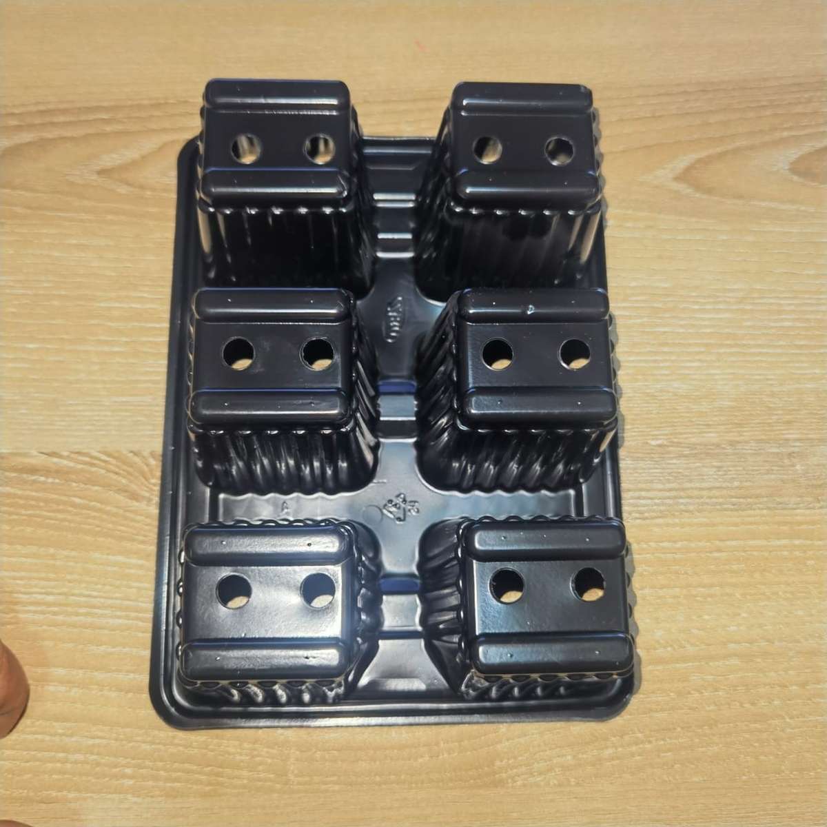 Seedling Tray 6 Cell (each)