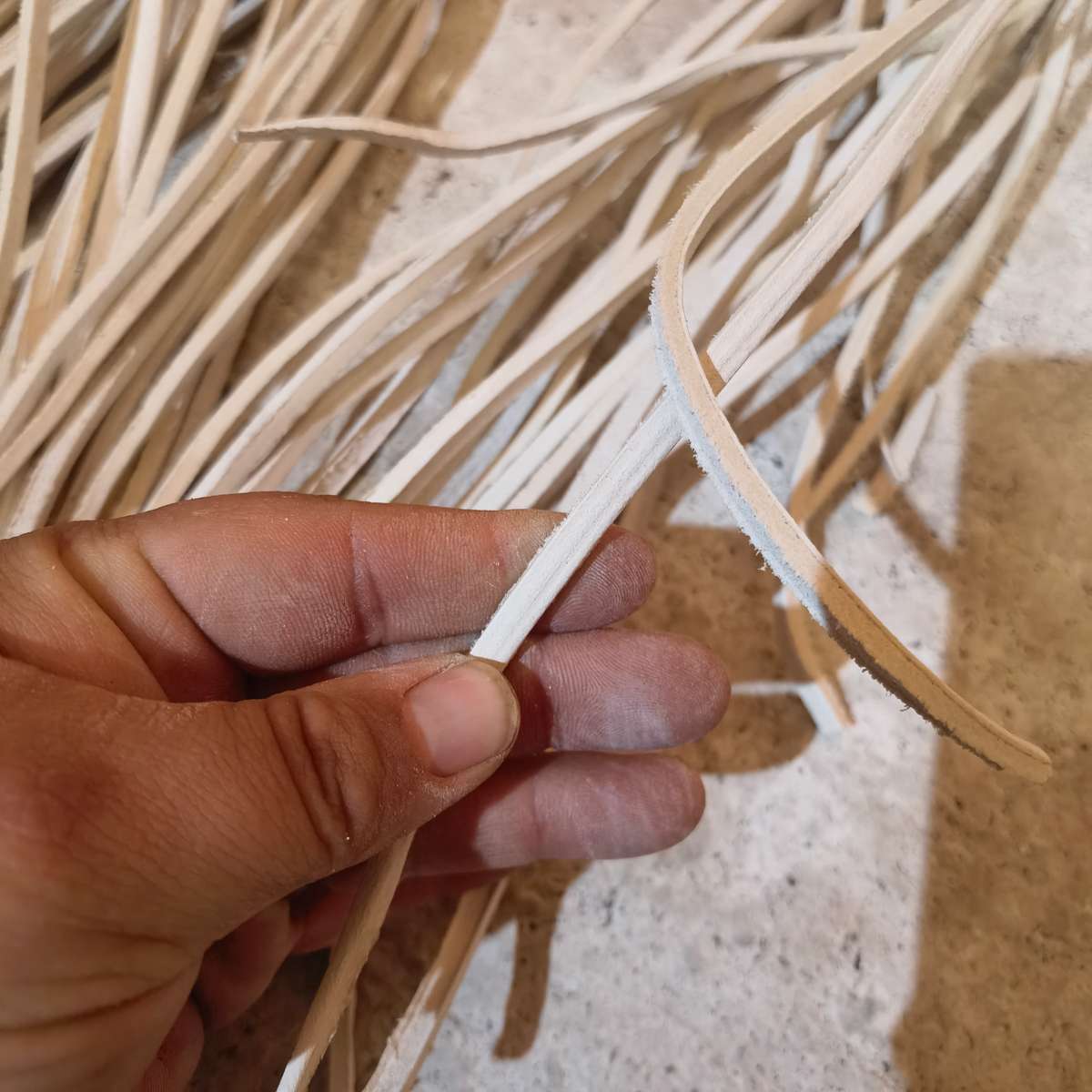 Riempie White Alum Chair Riempie (1.8m-2m) Each