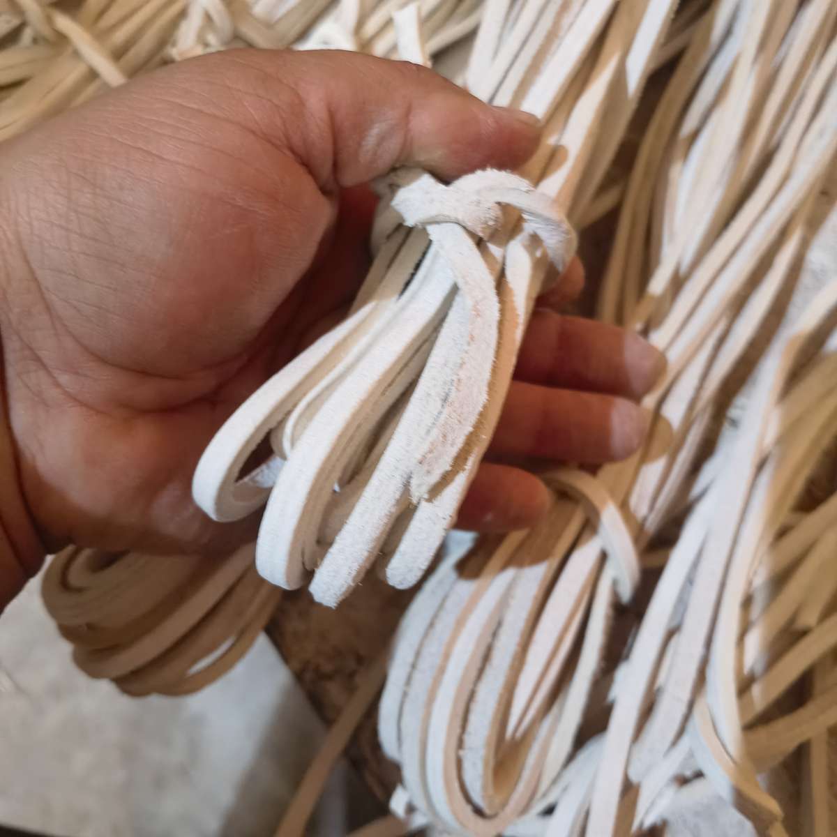 Riempie White Alum Chair Riempie (1.8m-2m) Each