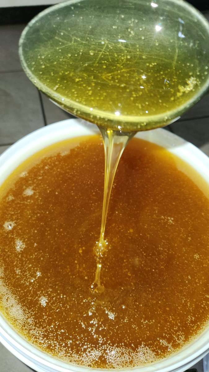 Sunflower Honey Unfiltered (1L Jar)