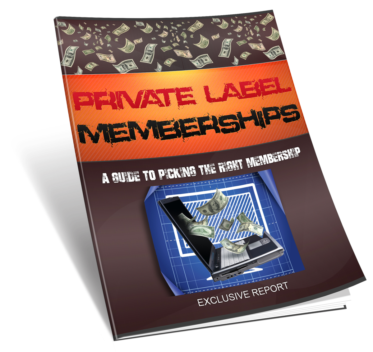 Private Label Memberships Guide Tutorial and Video Upgrade Bundle