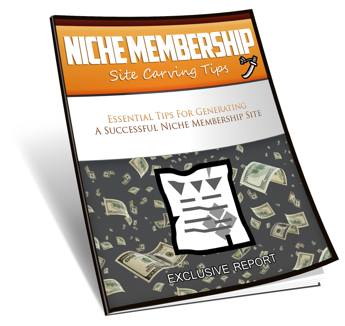 Niche Membership Site Carving Tips Tutorial & Video Upgrade Bundle