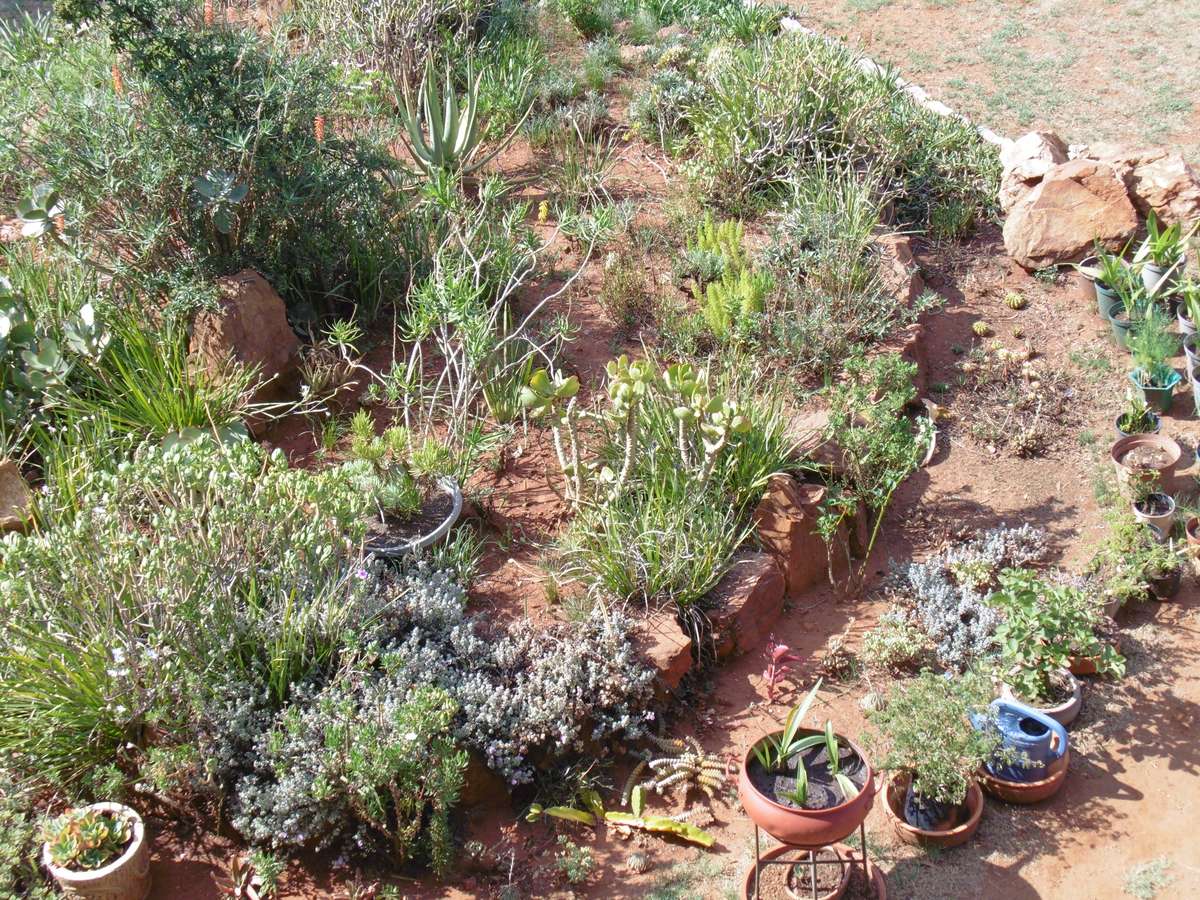 Panasonic Lumix DMC-LZ40 20MP / 42x Optical Zoom  - Connected Bridge Camera