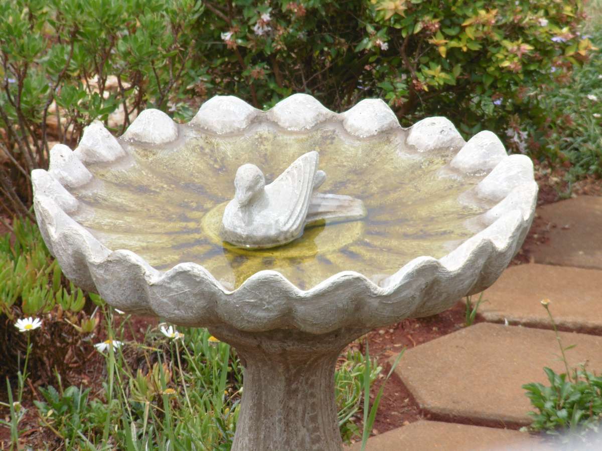 Panasonic Lumix DMC-LZ40 20MP / 42x Optical Zoom  - Connected Bridge Camera