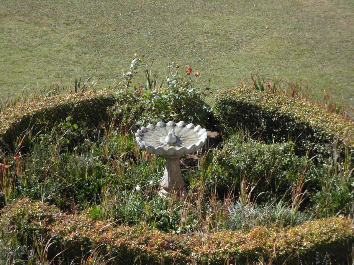 Samsung ST700 / Front LCD / 16.1MP / 5x Zoom - Compact Digital Camera