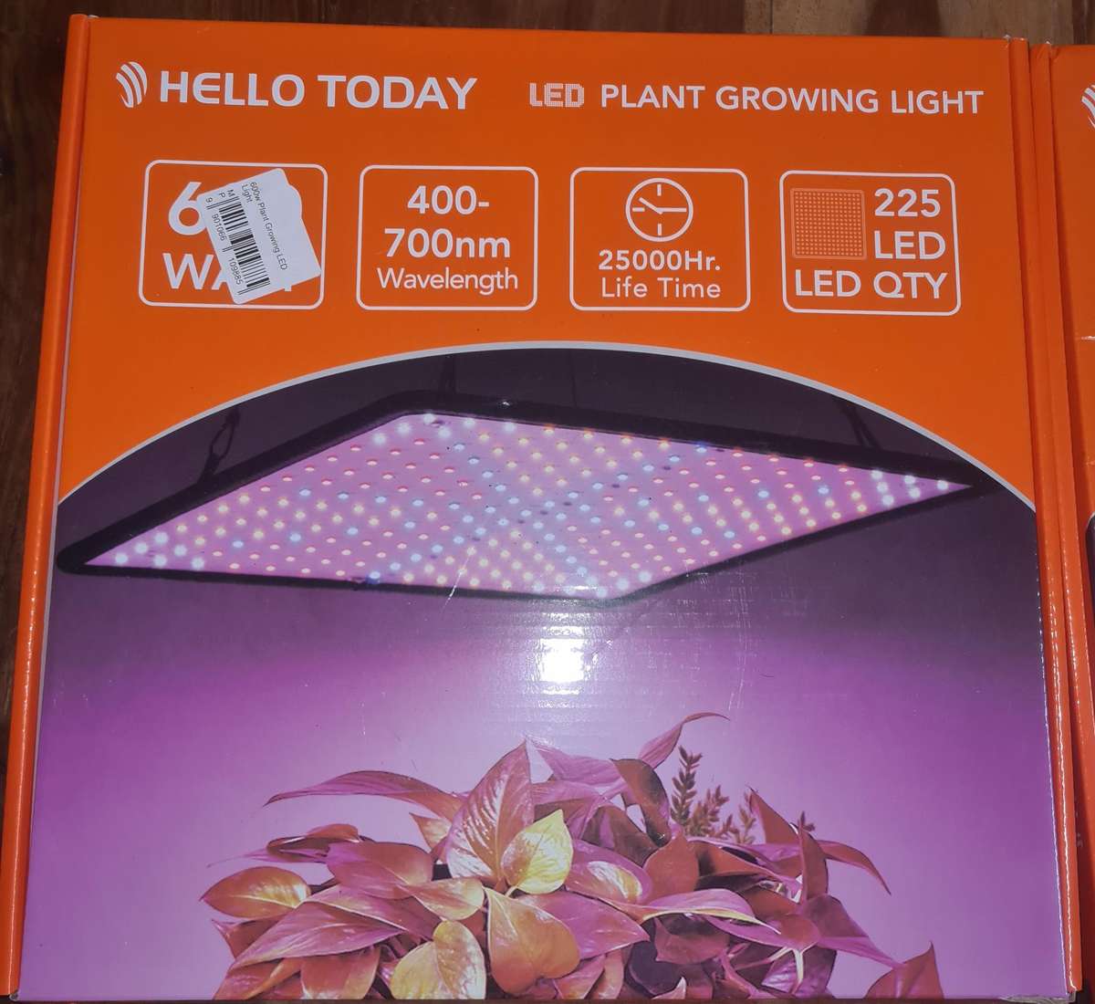 HELLO TODAY 60W LED Grow Light Panel