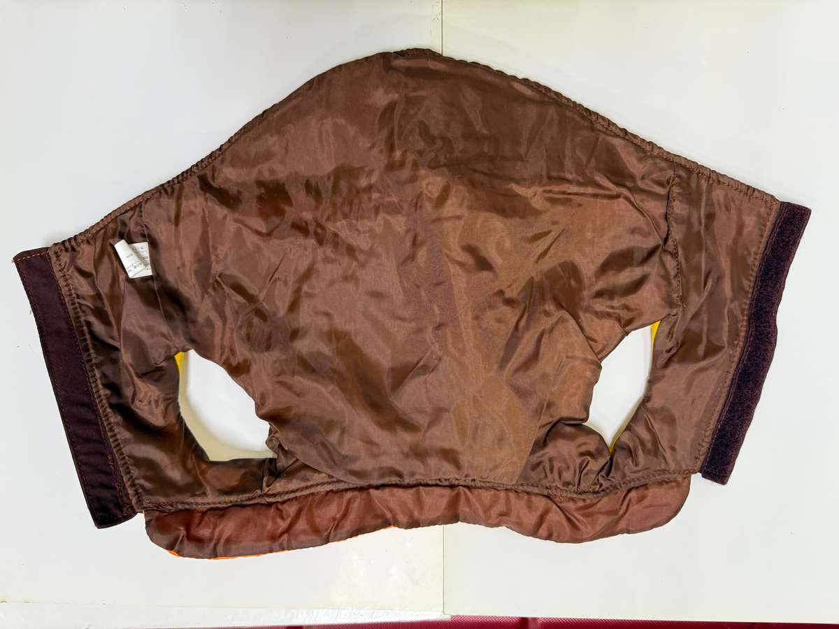 Dog jacket