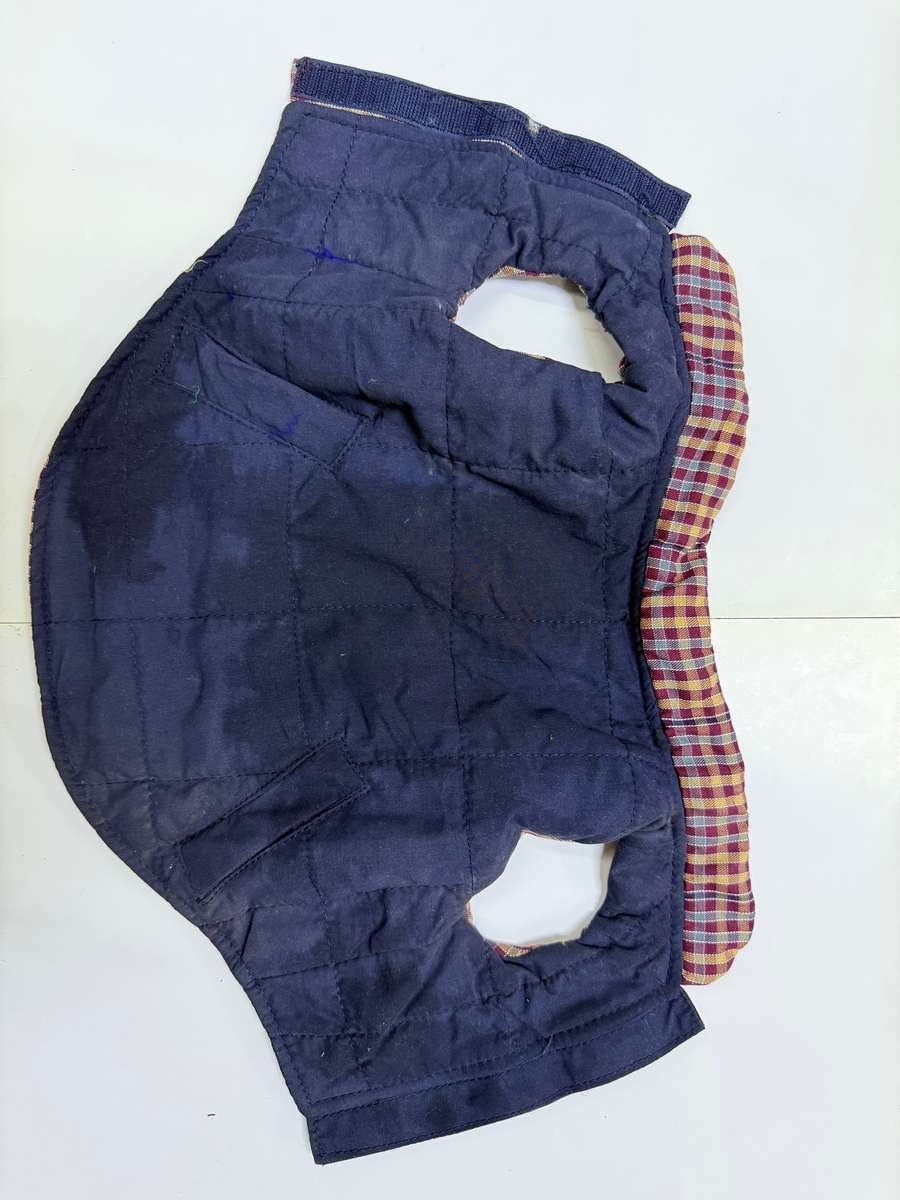 Dog jacket
