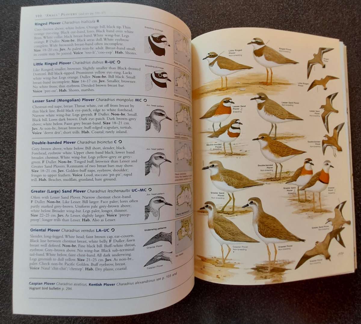 Field Guide to the Birds of Australia - 8th Edition, Nicolas Day Ken Simpson