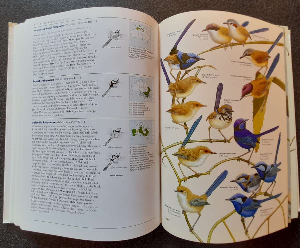 Field Guide to the Birds of Australia - 8th Edition, Nicolas Day Ken Simpson