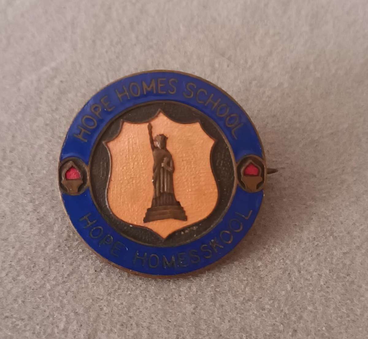 HOPES HOME SCHOOL badge.