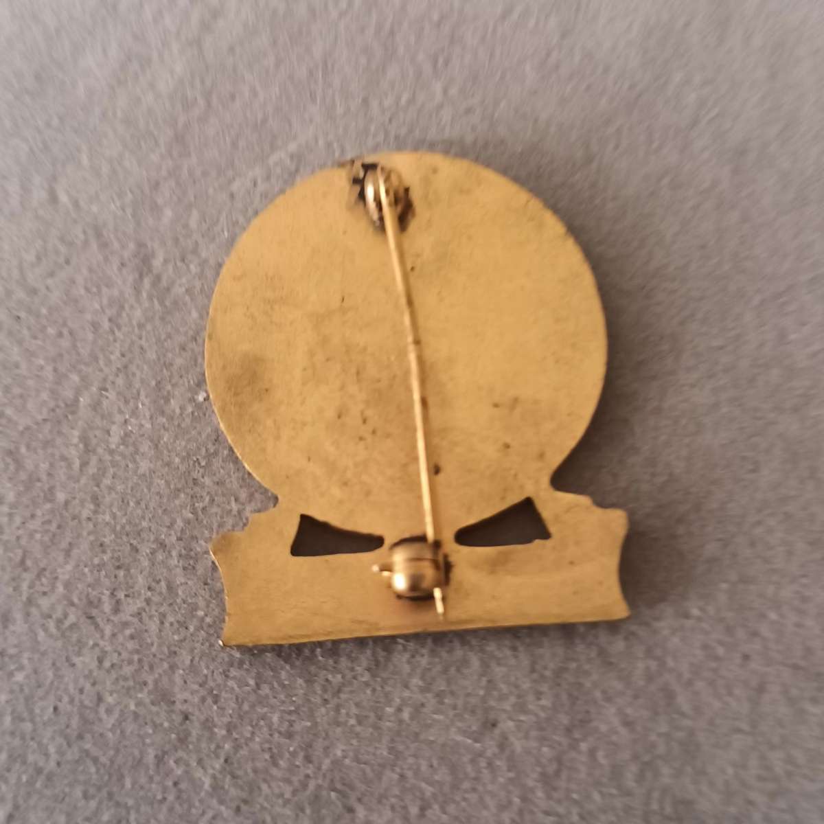 Suid Afrikaanse Vroue Federasie Badge