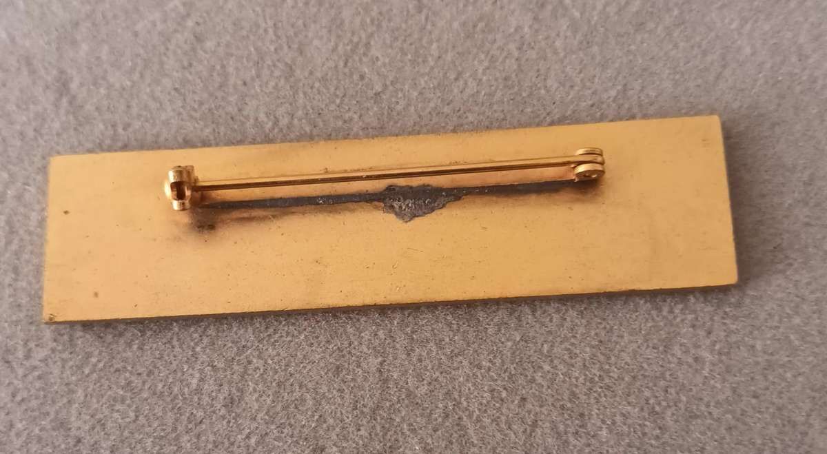 Suid Afrikaanse Vroue Federasie Badge