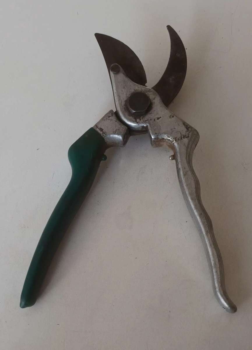 Raco Garden Pruning Shears.