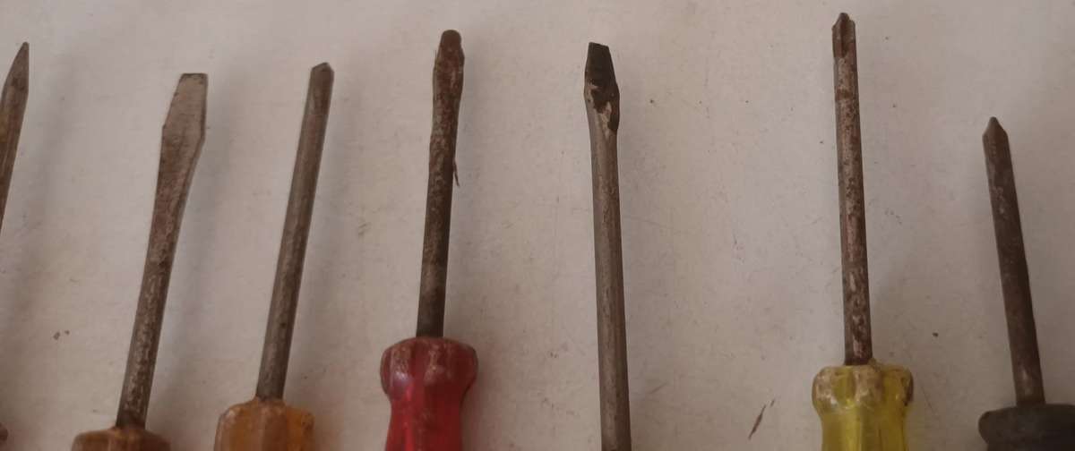 Lot of Small Screwdrivers.