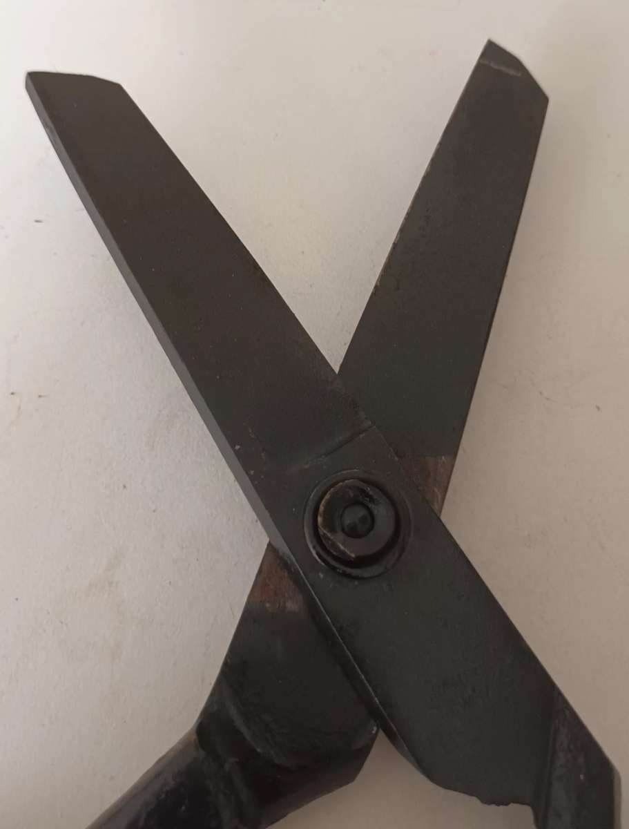 Vintage Scissors.