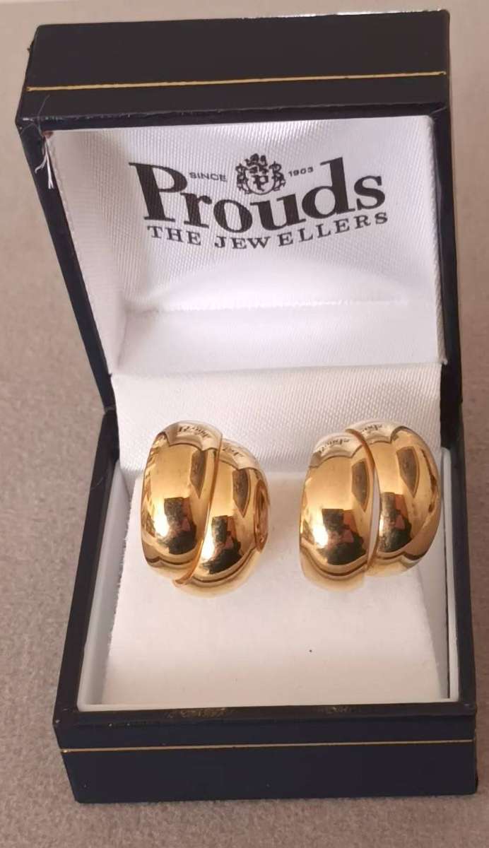 Stunning Gold-Plated Earrings.
