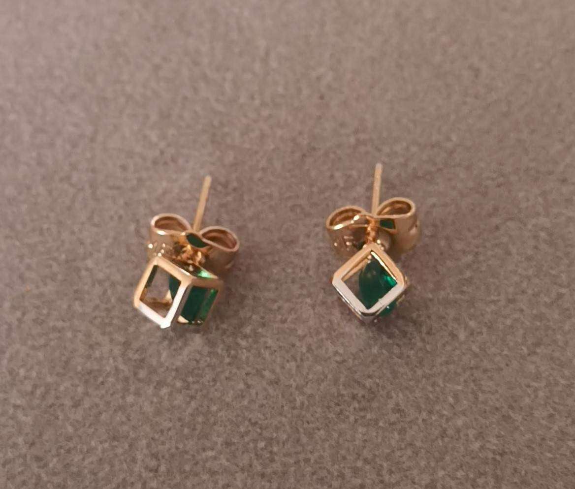 Plated 2 Tone Fashion Earrings.