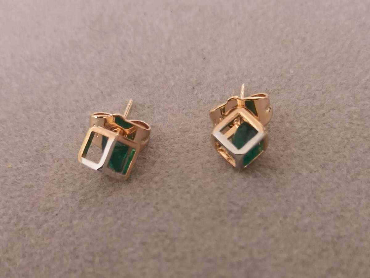 Plated 2 Tone Fashion Earrings.