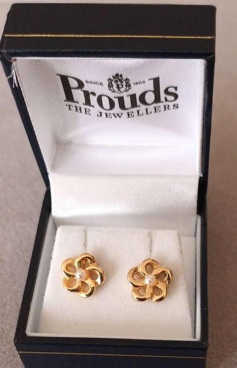 Gold Plated Earrings.