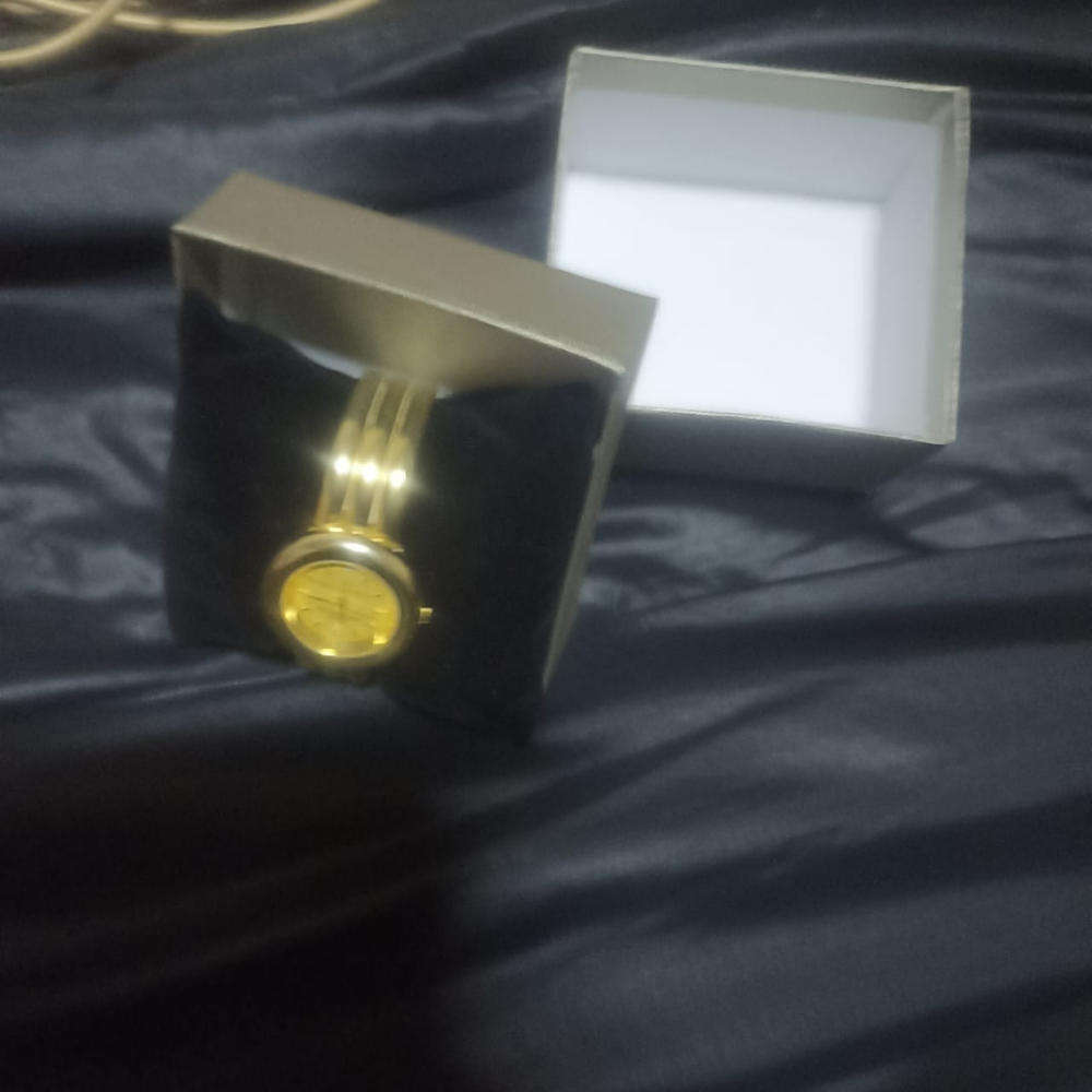 Ladies Michel Herbalin watch