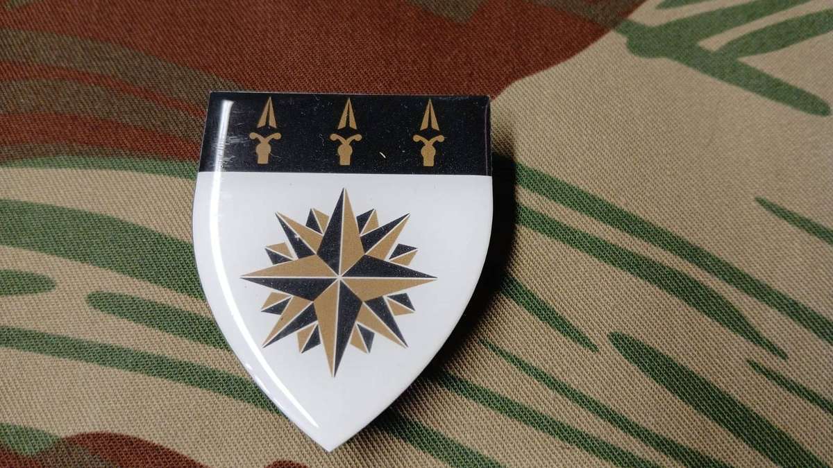 SPECIAL FORCES - 1 Reconnaissance Regiment Shoulder Flash