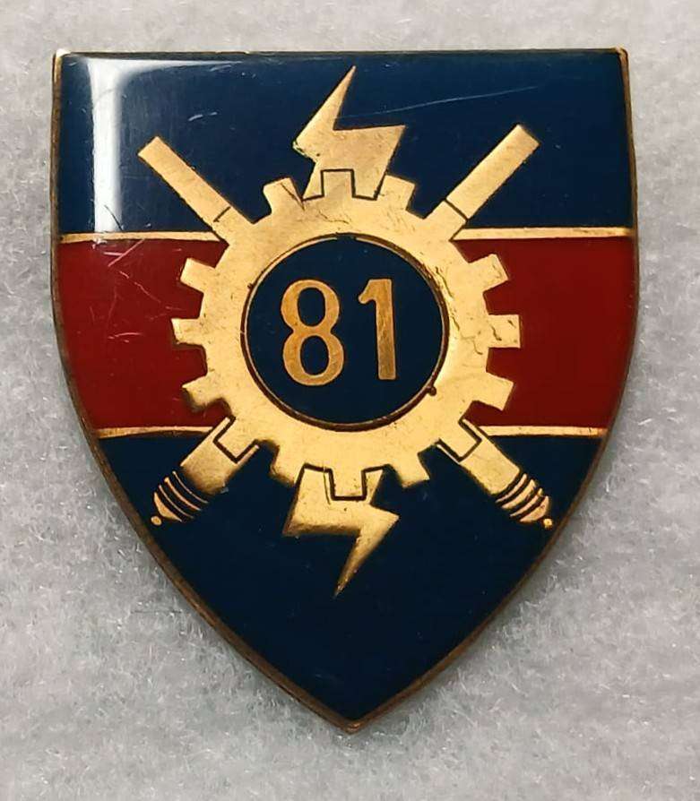South African Defence Force (SADF) 81 Technical Stores Depot shoulder flash