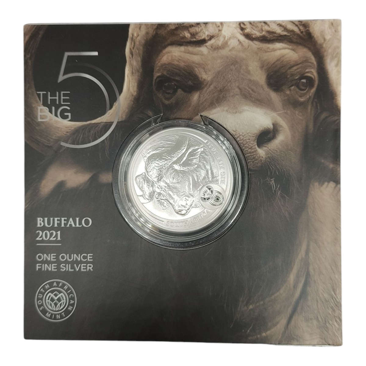 Big Five S1 Silver Brilliant Uncirculated Buffalo