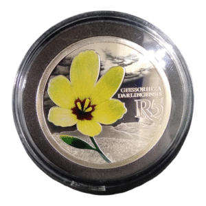 3 Set Colour Coins (15 Coins)