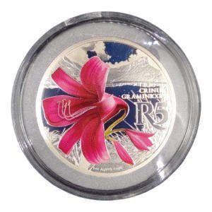 3 Set Colour Coins (15 Coins)