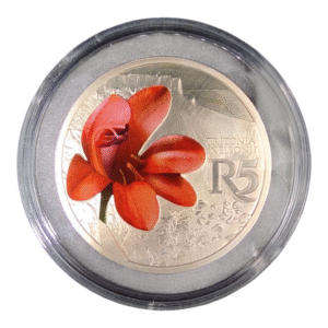 3 Set Colour Coins (15 Coins)