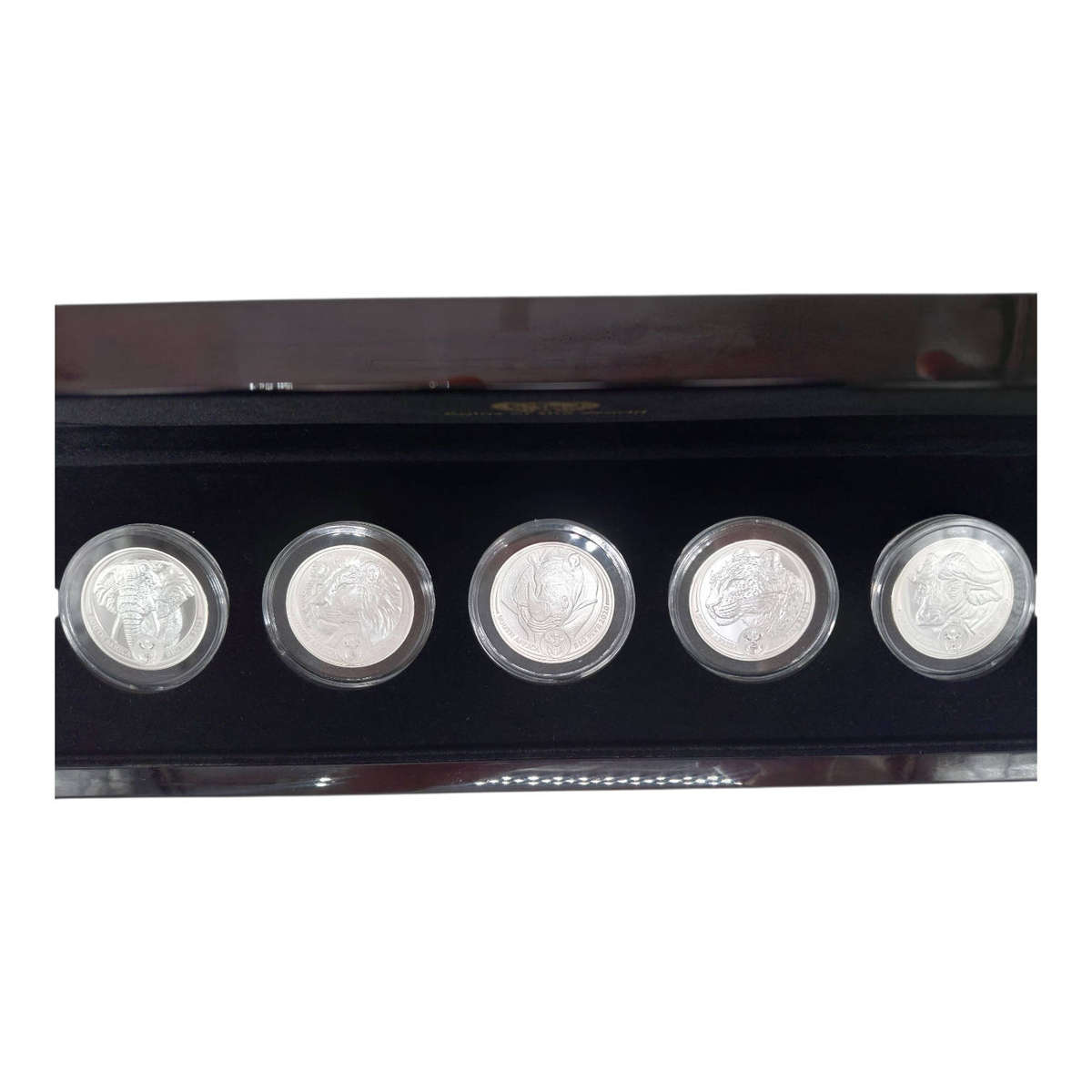 2019 Big Five Silver 5 Coin Set