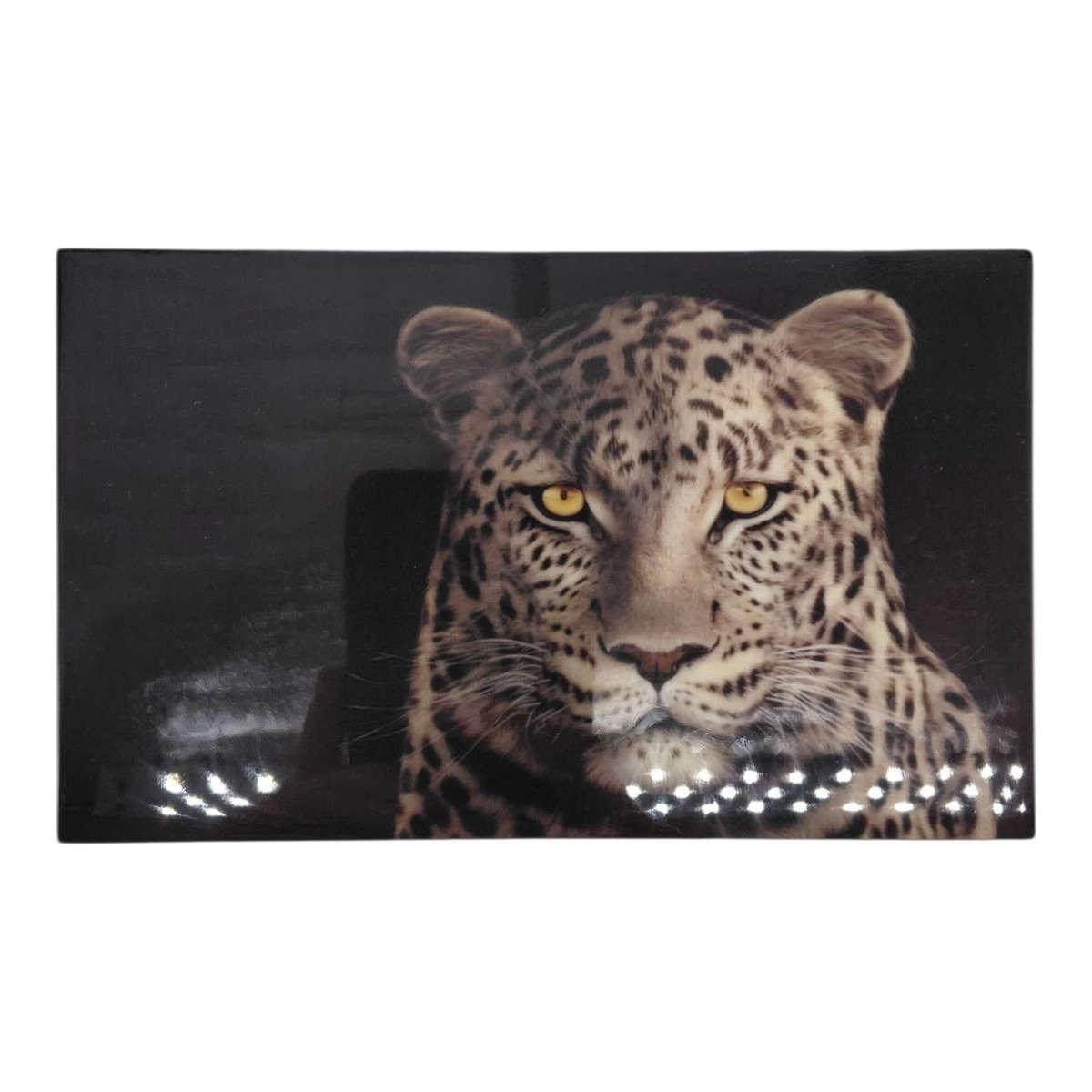 South Africa 2020 Silver PC Leopard Twin Set