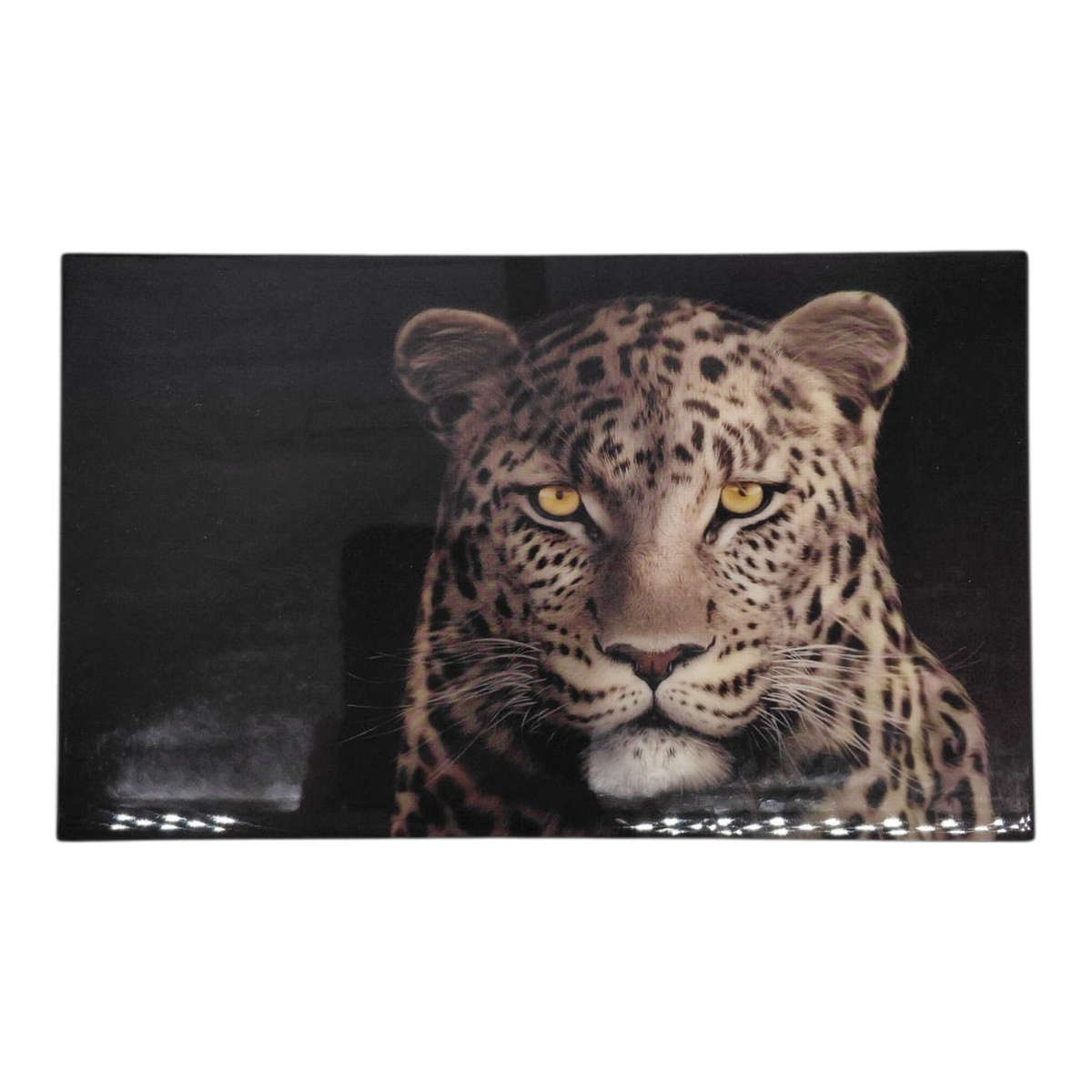 South Africa 2020 Silver PC Leopard Twin Set
