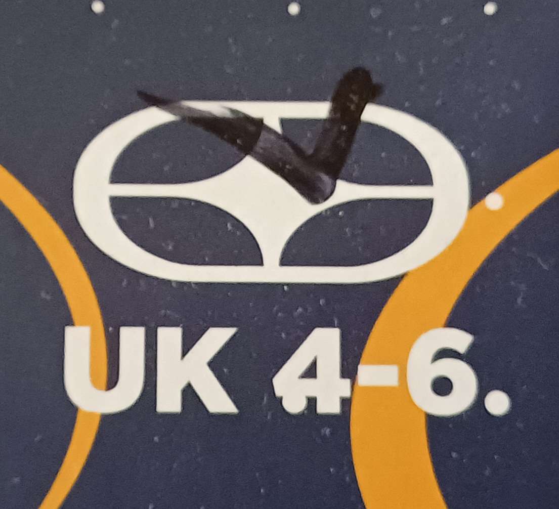 No Fear Inline Skates Rollerblades UK 4-6