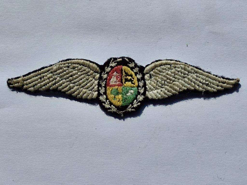 South African Air Force Pilots Wings