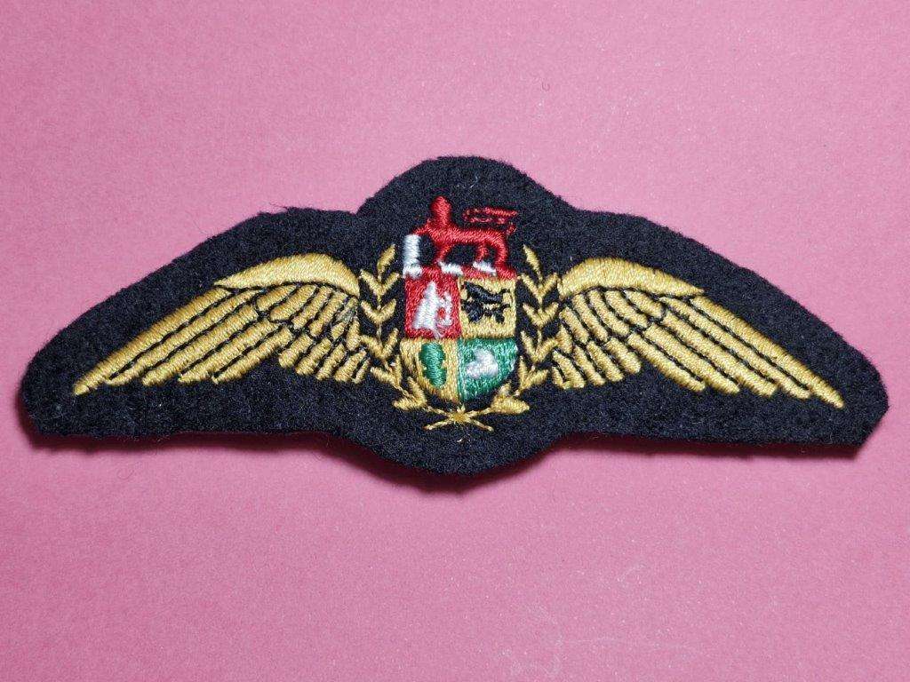 South Africa Airforce Pilot Wing.